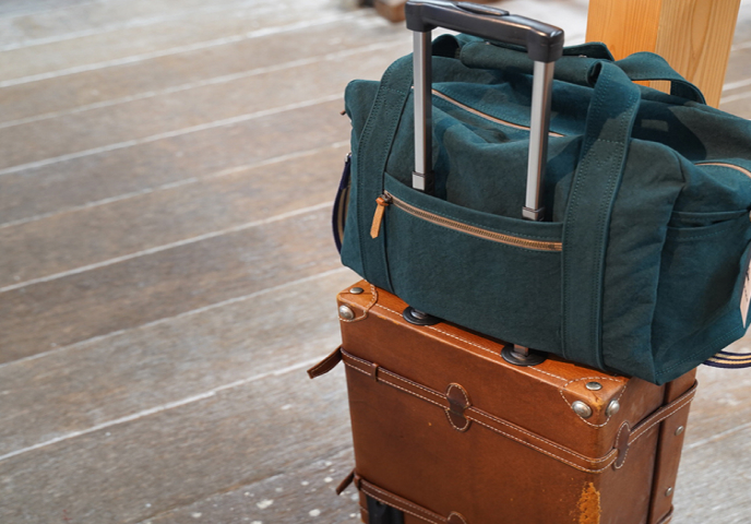 尾道の猫の写真